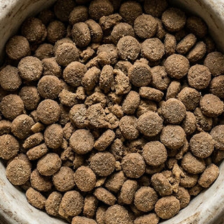 Kibble