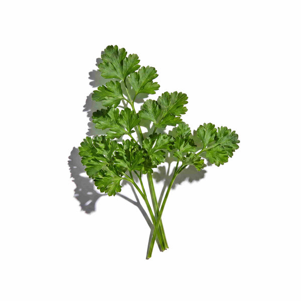 Parsley